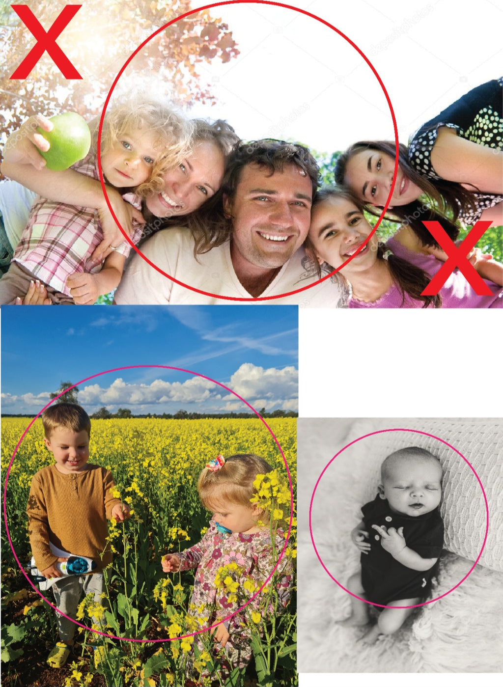 PhotoSpots Wall Decal Sampler Set