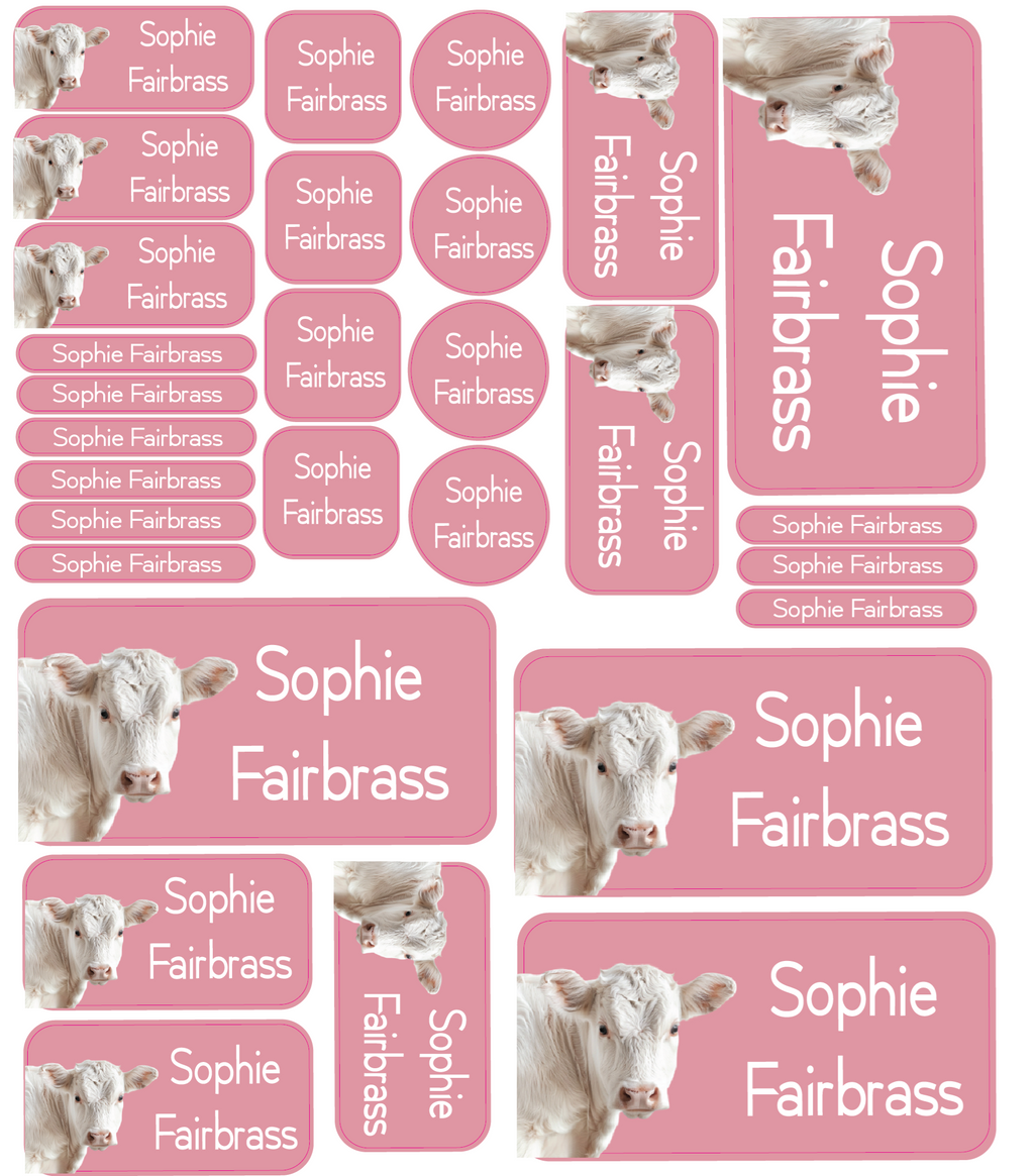 Personalised Vinyl Name Labels